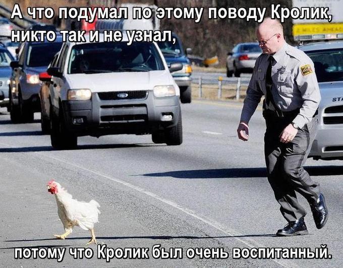 Полицейский гонится курицей.