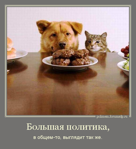 Большая политика, в общем-то, выглядит так же. Кошка и собака смотрят на котлеты на столе.