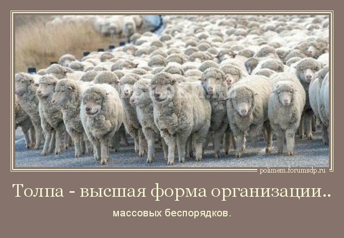 Толпа - высшая форма организации... массовых беспорядков. Стадо баранов, возглавляемое волками в овечьей шкуре.