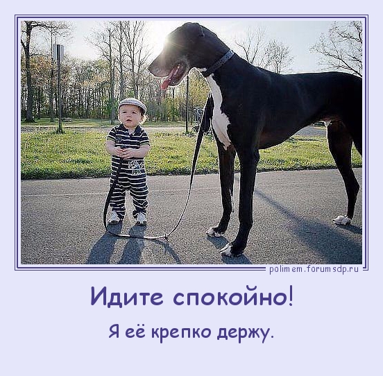 маленький мальчик держит на поводке огромную собаку