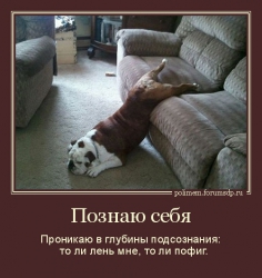 Собака лежит, свесившись с дивана.