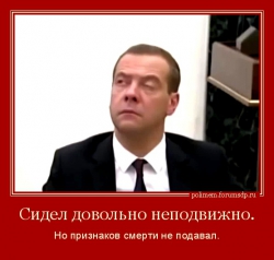 Полусонный Медведев. Сидел довольно неподвижно. Но признаков смерти не подавал