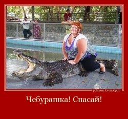 Толстая женщина сидит верхом на крокодиле.