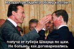 Шварц бьет Медведева по лицу.